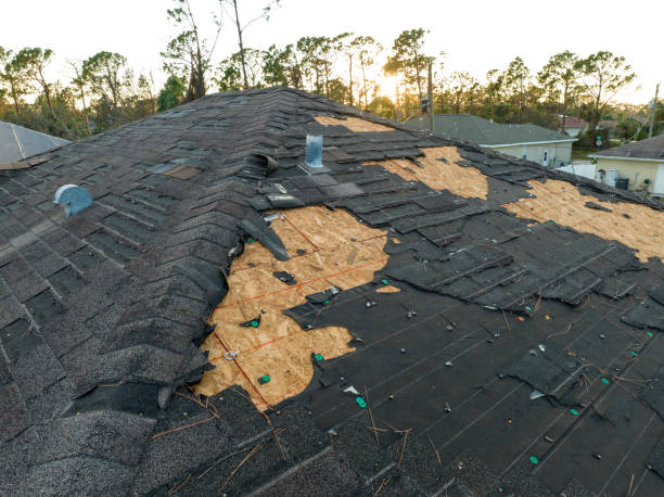 Best Roof Leak Repair  in Woodlake, VA