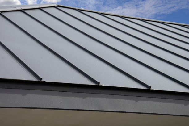 Best Sheet Metal Roofing  in Woodlake, VA