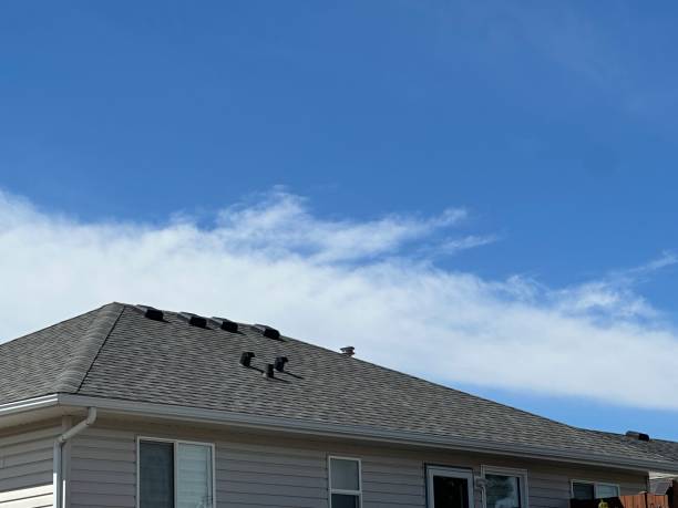 Best Metal Roofing Installation  in Woodlake, VA